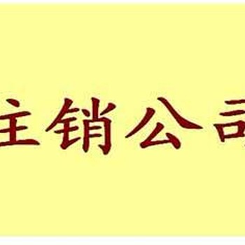 代办个体营业执照个体户注销电子商务执照注销