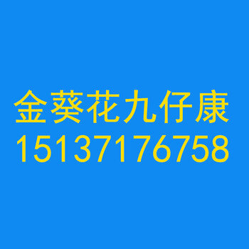 秋冬季仔猪流行性腹泻药_金葵花九仔康