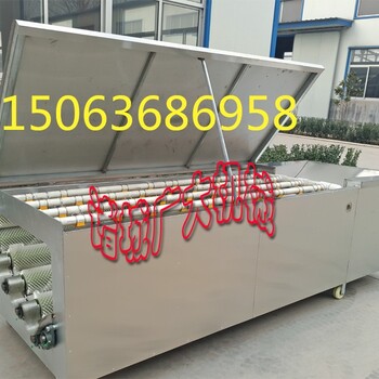云南红皮小土豆清洗机广大QX-2200-8型毛辊洗小土豆的机器