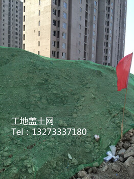 蓋土網(wǎng)現(xiàn)貨