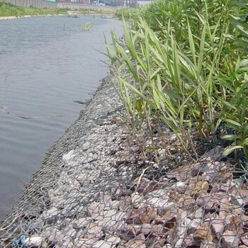 河道防護(hù)石籠網(wǎng)A泉上河道防護(hù)石籠網(wǎng)A河道防護(hù)石籠網(wǎng)廠家批發(fā)