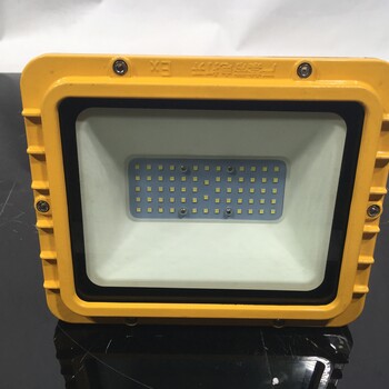 湖南株洲神農(nóng)公園草坪燈LED泛光燈防水防塵免維護