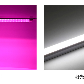 led植物生長(zhǎng)燈補(bǔ)光燈室內(nèi)育苗蔬菜花卉盆栽補(bǔ)光T8T5燈管多肉上色