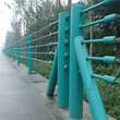 钢绞线护栏钢索护栏配件河北缆瑞生产厂家图片