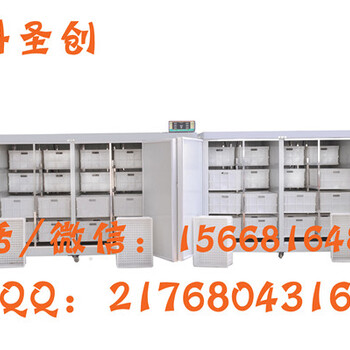 义县豆芽机,大型豆芽机生产设备,全自动箱式豆芽机