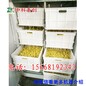 廊坊豆芽生产设备价格，豆芽加工设备价格，生产豆芽设备要多少钱