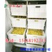 枣庄豆芽制作机器，豆芽机生产厂家，节能型豆芽机