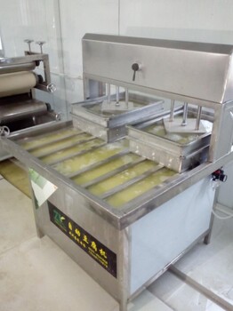 石家庄全自动豆腐设备，豆腐自动化生产线，制作豆腐的机器