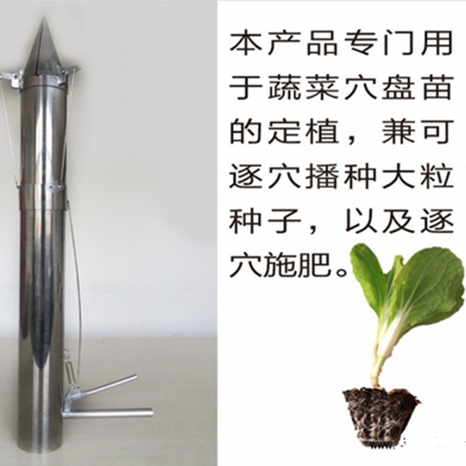 新型红薯移栽机/家用西红柿栽苗机多用途地瓜移栽器供应商/供应甜菜栽苗机