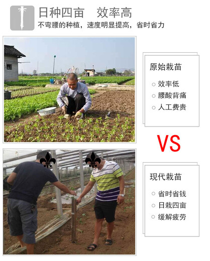 长期供应加厚型烟苗移栽机家用药材移栽器