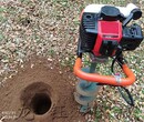 龙钰两冲程挖坑机,中型硬土植树挖坑机图片