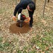 抚州树螺旋式木追肥挖穴机汽油式打眼机