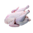 衢州無公害雞肉養殖場、衢州綠色雞肉合作社