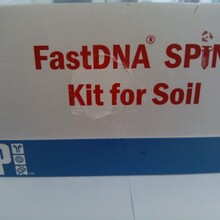 大量现货促销FastDNA?SPINKitforSoil-土壤DNA试剂盒图片