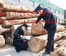 香港木材进口报关代理公司图片