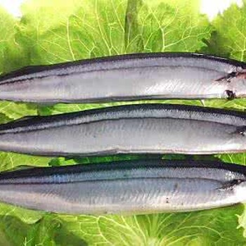 三文鱼是怎样进口到中国的？日本三文鱼进口报关清关流程