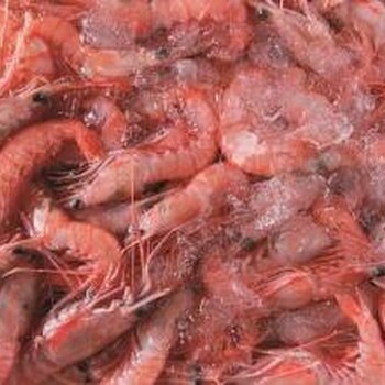 青岛港活螯龙虾进口报关报检所需要的资料明细