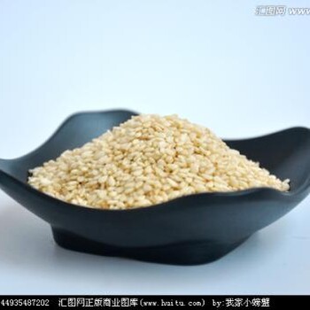 芝麻進口報關零障礙：快速清關全攻略，體驗進口