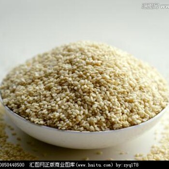 芝麻進口詳細的報關清關流程分享