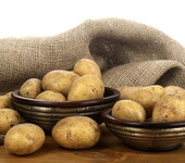 土豆、胡萝卜出口商检商检报关代理农产品出口全程