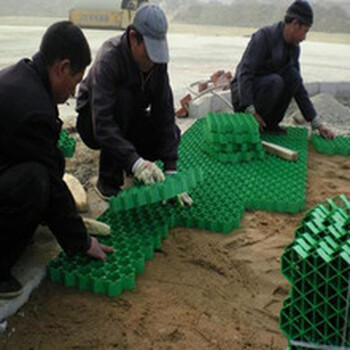 5公分平口植草格停车位植草格绿化植草格批发