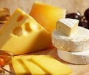 天津乳酪進口報關代理流程