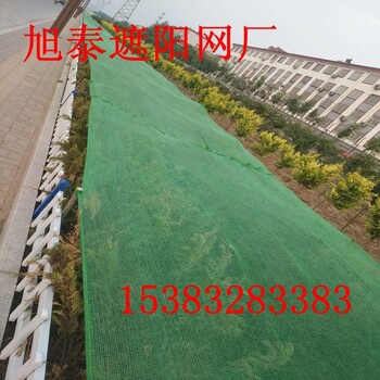 實體廠家三針遮陽網(wǎng)蓋土網(wǎng)蓋煤網(wǎng)抗氧化