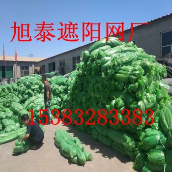 旭泰遮陽網(wǎng)三針遮陽網(wǎng)四針遮陽網(wǎng)六針遮陽網(wǎng)防曬遮陰網(wǎng)農(nóng)業(yè)遮陽網(wǎng)