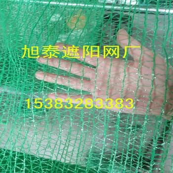 旭泰生產(chǎn)三針蓋土網(wǎng)二針蓋土網(wǎng)工地防塵蓋土網(wǎng)蓋土網(wǎng)現(xiàn)貨