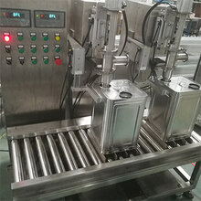 双头半自动灌装机液体油漆乳胶漆润滑油涂料灌装机厂家直销10L-30L自动双头灌装机图片