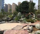 梅州市园林假山鱼池设计梅州园林假山鱼池图片梅州塑石塑木设计