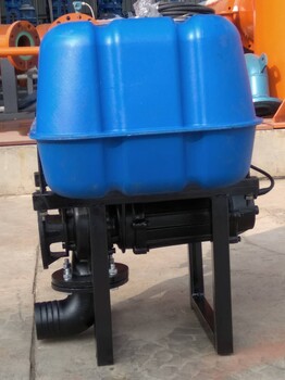 浮筒式潜水排污泵节能改造泵型