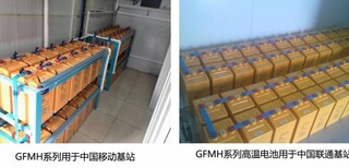 双登6GFM100通信用铅酸蓄电池图片3