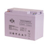 雙登6-GFM-50AH免維護蓄電池12V50AH應急電源用蓄電池