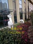 江苏玻璃钢雕塑公司制作仿真抽象鹿雕塑园林景观雕塑定制图片1