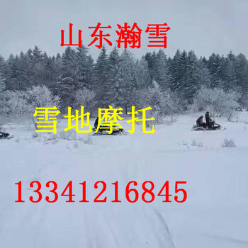 寒冷冬天想赚钱赚到手软数钱数到花眼就买雪地摩托车雪地转转雪地坦克