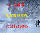 2017赚钱快的雪地坦克型号雪地摩托车雪地转转图片