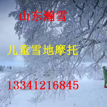 山东瀚雪儿童戏雪产品大全雪地摩托车质量价格实惠