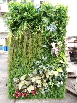 店铺仿真植物墙橱窗展示背景仿真绿墙设计无铁架制作安装方便