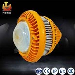 100wLED防爆投光灯，防爆led投光灯100w，100wled防爆投光灯，GCD810图片0