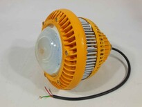 100wLED防爆投光灯，防爆led投光灯100w，100wled防爆投光灯，GCD810图片2