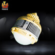 100wLED防爆泛光灯，led防爆泛光灯100w，100w防爆led泛光灯GCD8830图片