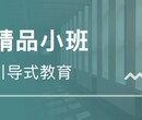 新疆乌鲁木齐市高三艺术生冲刺文化课文综补习班怎么收费的图片