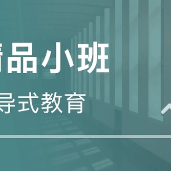 新疆乌鲁木齐市高三艺术生冲刺文化课文综补习班怎么收费的