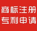 浦东商标专利注册申请专注知识产权九年专注专心图片