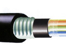 GYTS-24B1光缆，长飞24芯铠装光缆代理，安徽24芯光缆代理