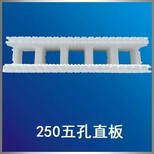 泡沫能建房子吗？图片0