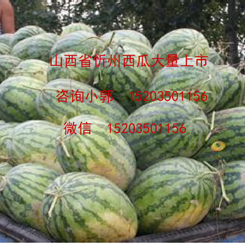 山西省忻州出售西瓜