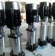 爆款新品QDL消防水處理泵高壓供水理想輸水設備圖片