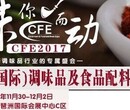 2017广州调味品展览会
